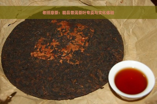 老班章茶：精品普洱茶叶专卖与文化体验