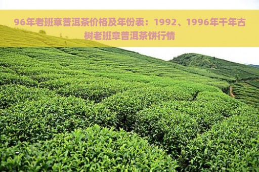 96年老班章普洱茶价格及年份表：1992、1996年千年古树老班章普洱茶饼行情