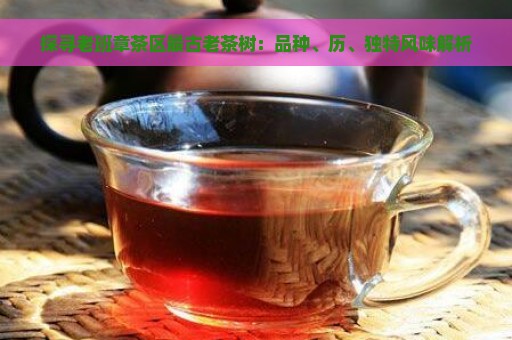 探寻老班章茶区最古老茶树：品种、历、独特风味解析