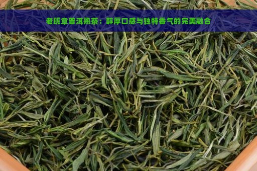 老班章普洱熟茶：醇厚口感与独特香气的完美融合