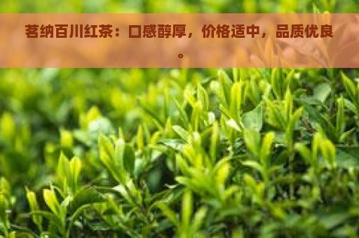 茗纳百川红茶：口感醇厚，价格适中，品质优良。