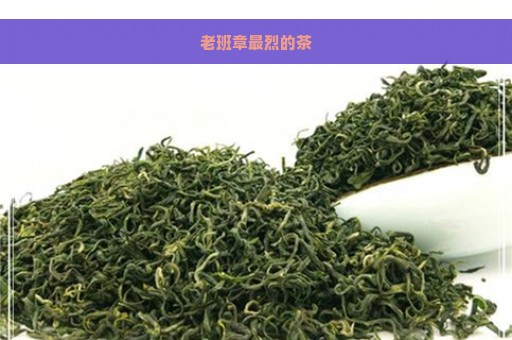 老班章最烈的茶