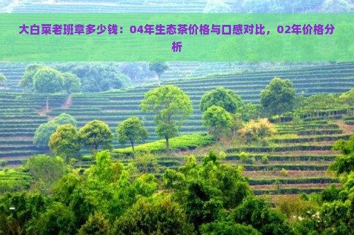 大白菜老班章多少钱：04年生态茶价格与口感对比，02年价格分析