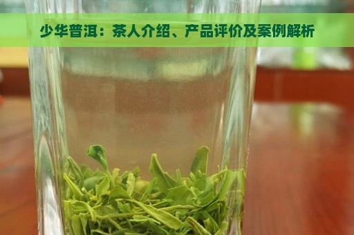 少华普洱：茶人介绍、产品评价及案例解析