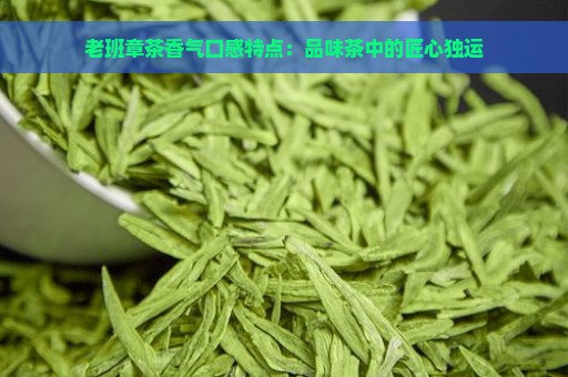 老班章茶香气口感特点：品味茶中的匠心独运