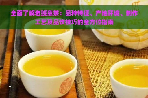 全面了解老班章茶：品种特征、产地环境、制作工艺及品饮技巧的全方位指南