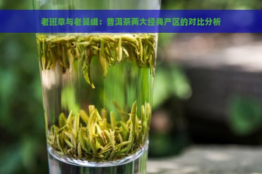 老班章与老曼峨：普洱茶两大经典产区的对比分析