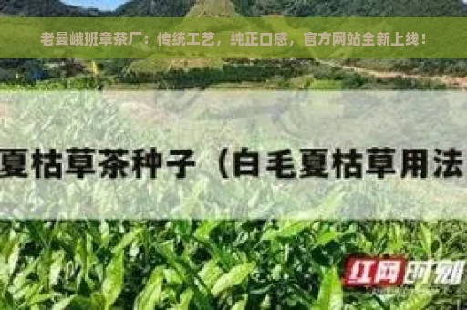 老曼峨班章茶厂：传统工艺，纯正口感，官方网站全新上线！