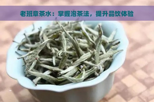 老班章茶水：掌握泡茶法，提升品饮体验