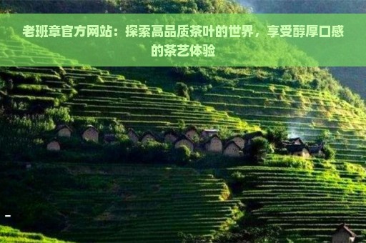 老班章官方网站：探索高品质茶叶的世界，享受醇厚口感的茶艺体验