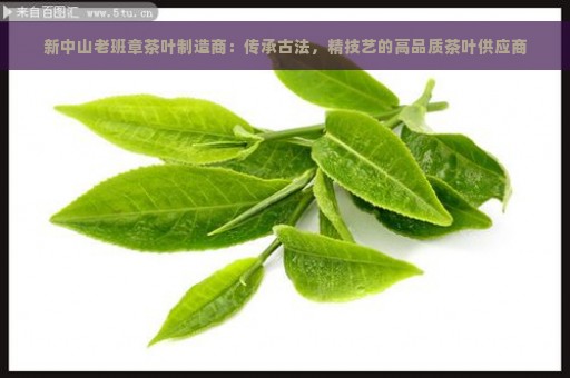 新中山老班章茶叶制造商：传承古法，精技艺的高品质茶叶供应商