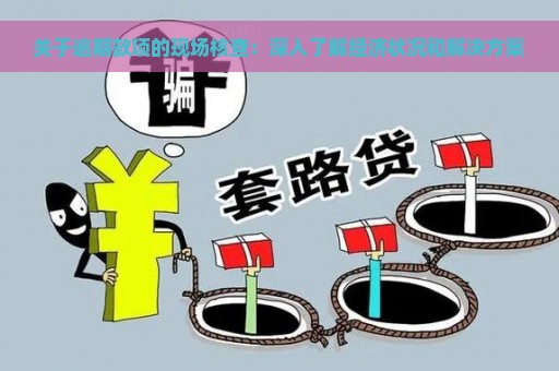 关于逾期款项的现场核查：深入了解经济状况和解决方案