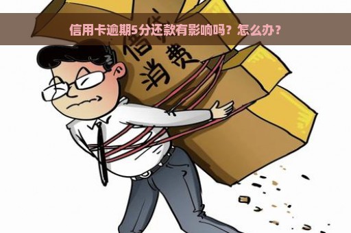 信用卡逾期5分还款有影响吗？怎么办？