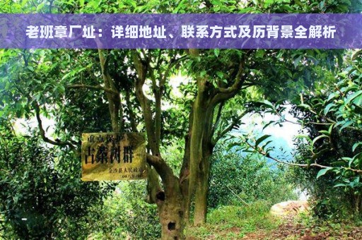 老班章厂址：详细地址、联系方式及历背景全解析