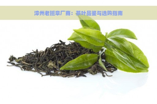 漳州老班章厂商：茶叶品鉴与选购指南