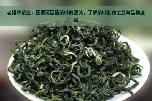 老班章茶业：探索高品质茶叶的源头，了解茶叶制作工艺与品种选择