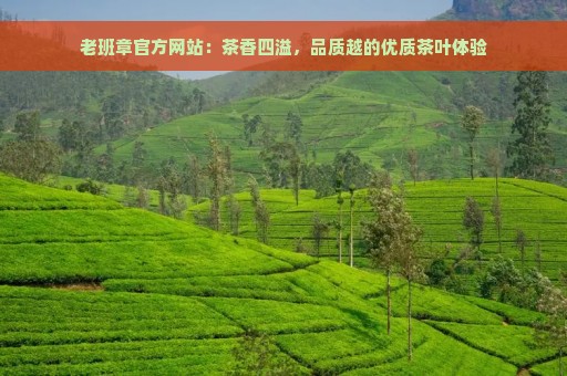 老班章官方网站：茶香四溢，品质越的优质茶叶体验