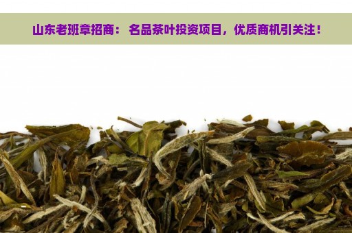 山东老班章招商： 名品茶叶投资项目，优质商机引关注！