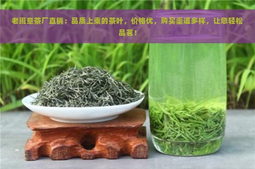 老班章茶厂直销：品质上乘的茶叶，价格优，购买渠道多样，让您轻松品茗！