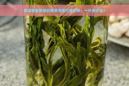 普洱茶老班章价格及市场行情分析：一斤多少钱？