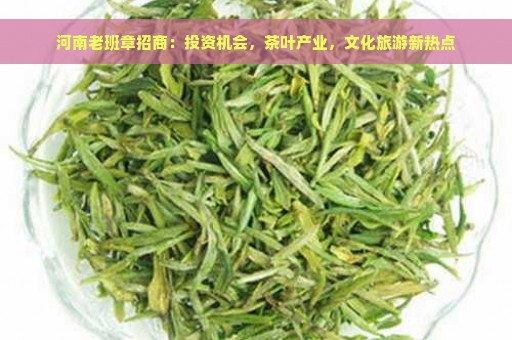 河南老班章招商：投资机会，茶叶产业，文化旅游新热点