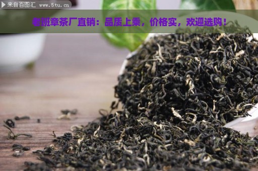 老班章茶厂直销：品质上乘，价格实，欢迎选购！