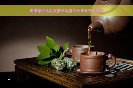 老班章文化发展茶业与茶叶业务全系列运营