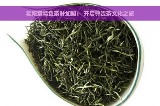 老班章特色茶叶加盟： 开启尊贵茶文化之旅