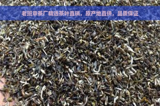 老班章茶厂精选茶叶直销，原产地直供，品质保证