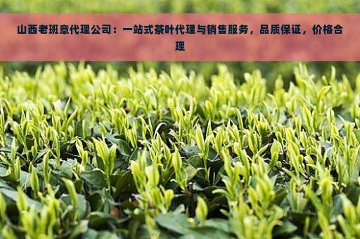 山西老班章代理公司：一站式茶叶代理与销售服务，品质保证，价格合理