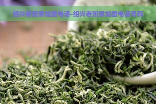 绍兴老班章加盟电话-绍兴老班章加盟电话号码