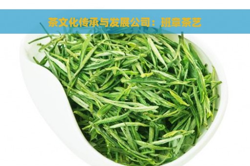 茶文化传承与发展公司：班章茶艺