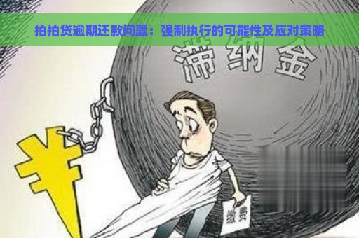 拍拍贷逾期还款问题：强制执行的可能性及应对策略