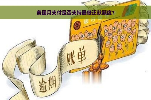 美团月支付是否支持最低还款额度？