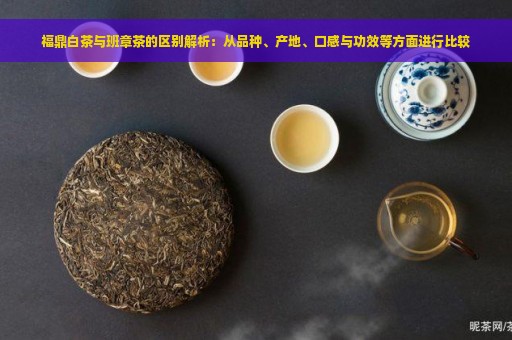 福鼎白茶与班章茶的区别解析：从品种、产地、口感与功效等方面进行比较