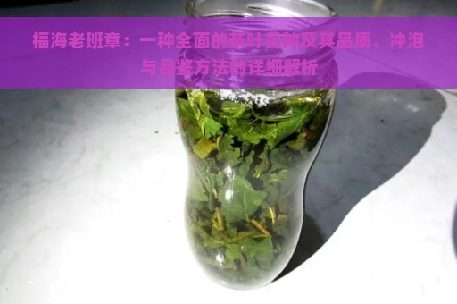 福海老班章：一种全面的茶叶品种及其品质、冲泡与品鉴方法的详细解析