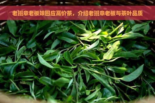 老班章老板娘回应高价茶，介绍老班章老板与茶叶品质