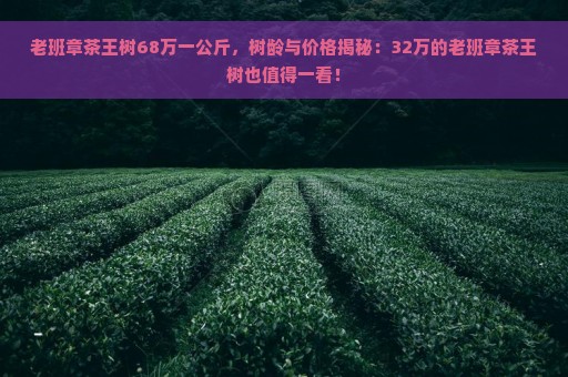 老班章茶王树68万一公斤，树龄与价格揭秘：32万的老班章茶王树也值得一看！