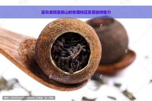 探究老班章茶山的地理特征及其独特魅力