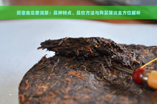 班章金瓜普洱茶：品种特点、品饮方法与购买建议全方位解析