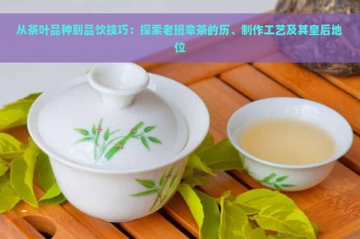 从茶叶品种到品饮技巧：探索老班章茶的历、制作工艺及其皇后地位