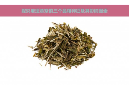 探究老班章茶的三个品相特征及其影响因素