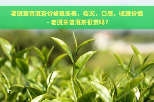 老班章普洱茶价格查询表，档次，口感，收藏价值 - 老班章普洱茶很贵吗？