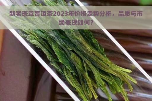 新老班章普洱茶2023年价格走势分析，品质与市场表现如何？