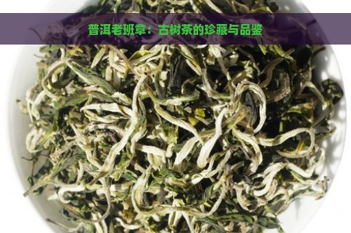 普洱老班章：古树茶的珍藏与品鉴