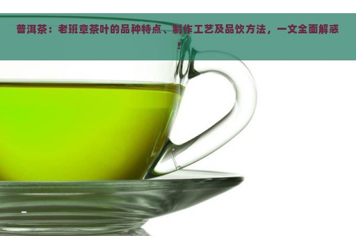 普洱茶：老班章茶叶的品种特点、制作工艺及品饮方法，一文全面解惑！