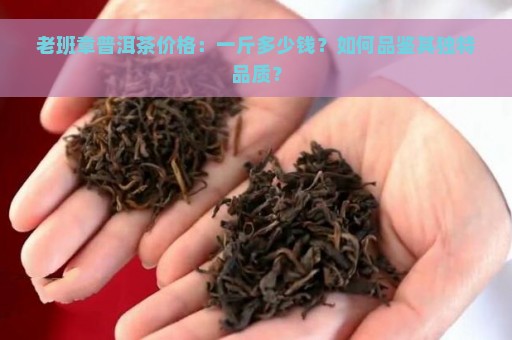 老班章普洱茶价格：一斤多少钱？如何品鉴其独特品质？