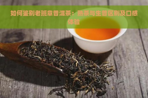 如何鉴别老班章普洱茶：熟茶与生普区别及口感体验