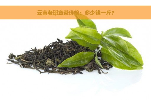 云南老班章茶价格：多少钱一斤？