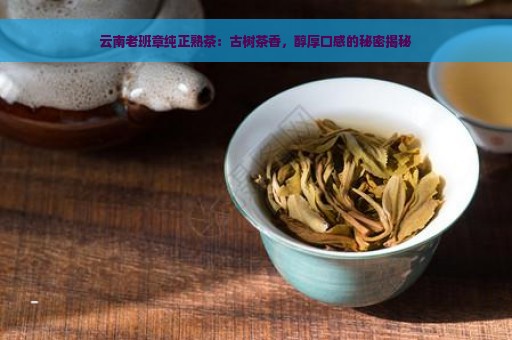 云南老班章纯正熟茶：古树茶香，醇厚口感的秘密揭秘